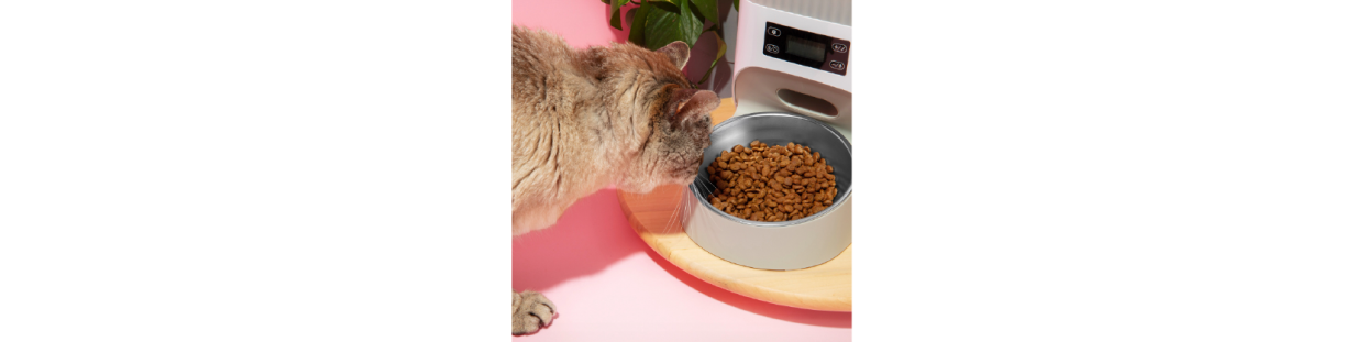 Alimentos