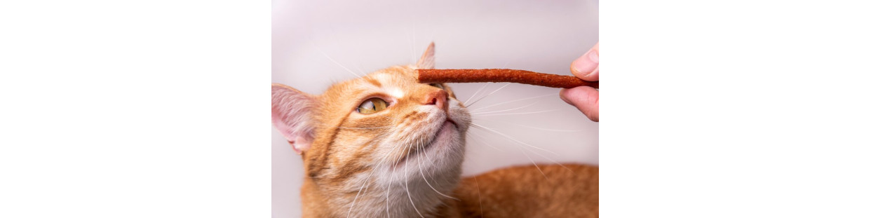 Snack Felino