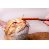 Snack Felino