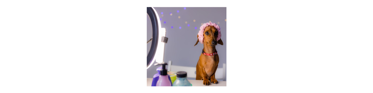 Cosmeticos