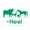 HEEL