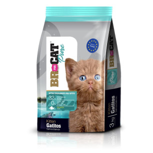 BR FOR CAT GATITOS SALMON X1 Kg
