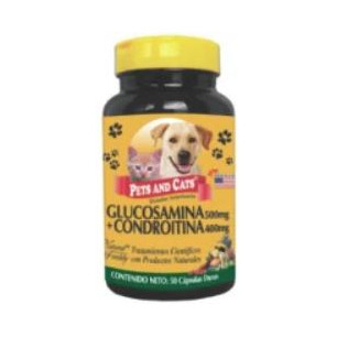 GLUCOSAMINA  CONDROITINA 50 CAPSULAS