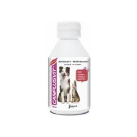 CANPLUSVIT X 120 ML