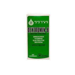 DEXTROMIN B BOLSA X 500 ml