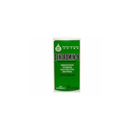 DEXTROMIN B BOLSA X 500 ml