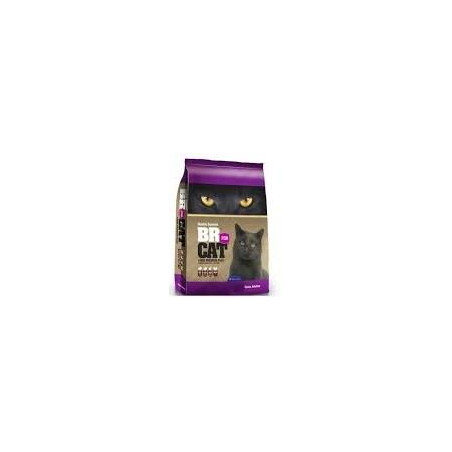 BR FOR CAT ADULTO X10 kg