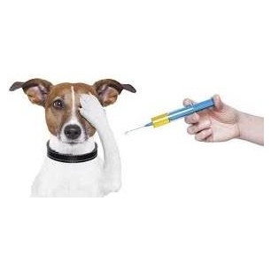 VACUNA NOVIBAC PUPPY DP X 1 Dosis