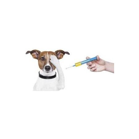 VACUNA NOVIBAC PUPPY DP X 1 Dosis