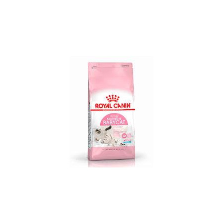 ROYAL CANIN MOTHER  BABY X 2 kg