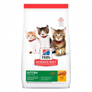HILLS F KITTEN 7 lb