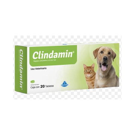 CLINDAMIN X BLISTER