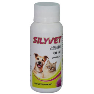 SILYVETSYLIUM JARABE FCO X 60 ML