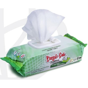 TOALLITAS BASIC-DIN ALOE VERA X 100