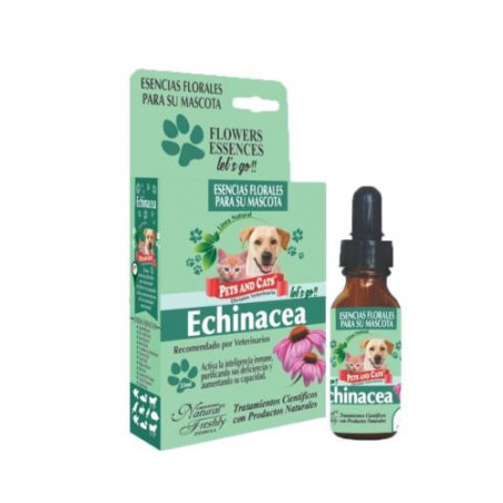 ESENCIA ECHINACEA GOTAS ORALES X 25 ML