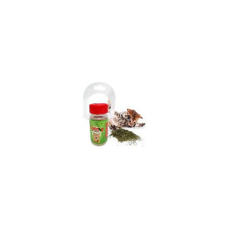 CATNIP PREMIUM X 20 gr