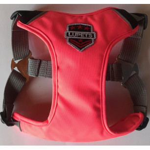 ARNES PASEADOR T XL
