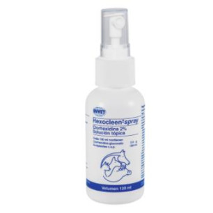 HEXOCLEEN SPRAY X 120  ml