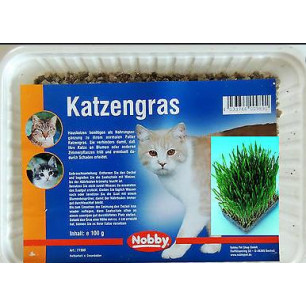 CESPED PARA GATO 100 gr