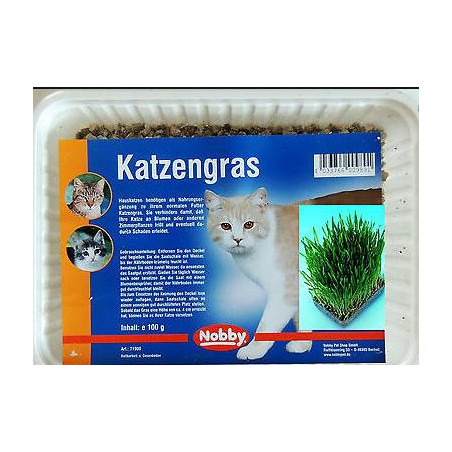 CESPED PARA GATO 100 gr