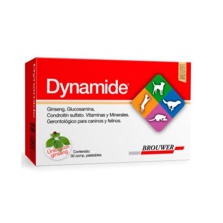DYNAMIDE BLISTER x 10 tabletas