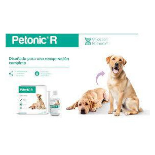 PETONIC R PERROS GRANDES X 275  ML