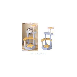 GIMNASIO LUNA