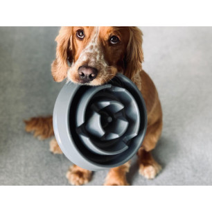 COMEDERO IMPORTADO PARA PERROS ANSIOSOS