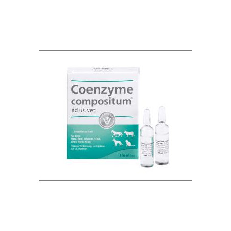 COENZYME Ampolla X Ud