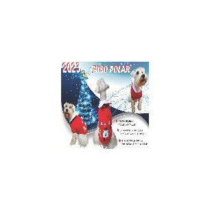 BUSO NAVIDEÑO TALLA 2