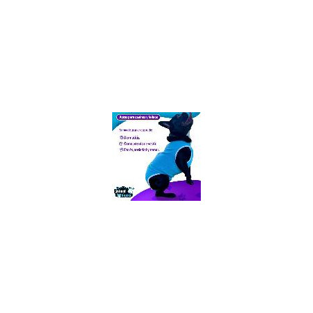 FAJA POSTQUIRURGICA BETL PETS TALLA 3XL