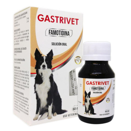 GASTRIVET FRASCO X 60 ML