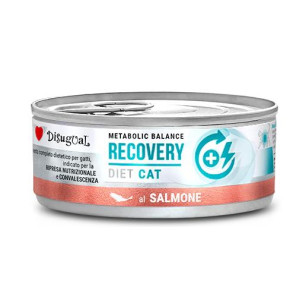 DISUGUAL CAT RECOVERY DIET SALMON X 85gr