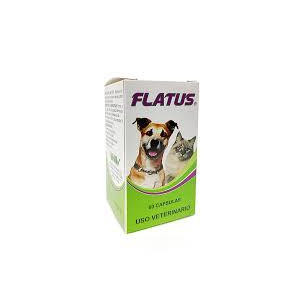 FLATUS X 60 CAPSULAS