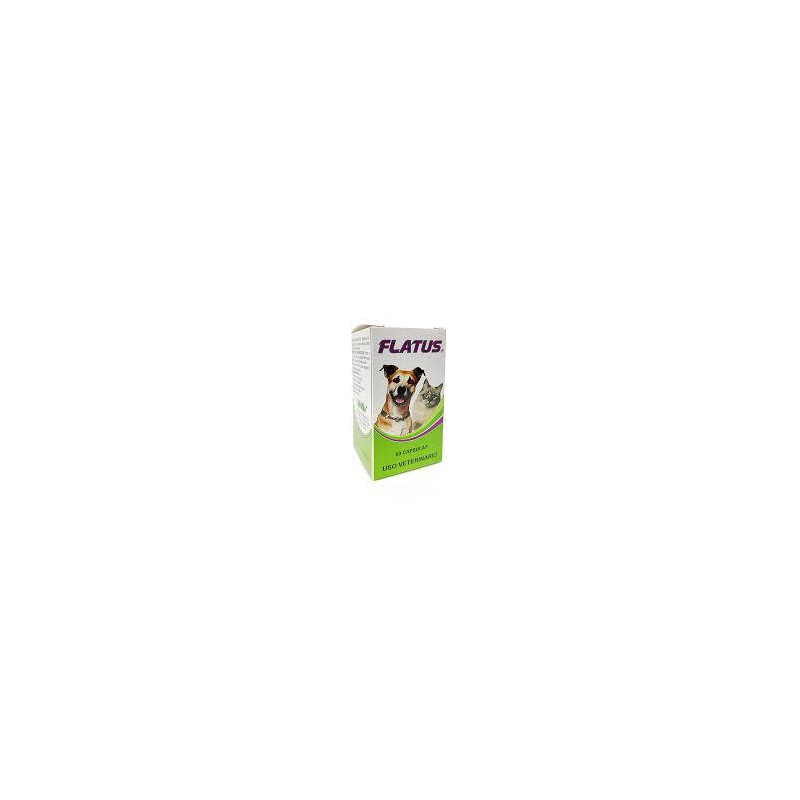 FLATUS X 60 CAPSULAS