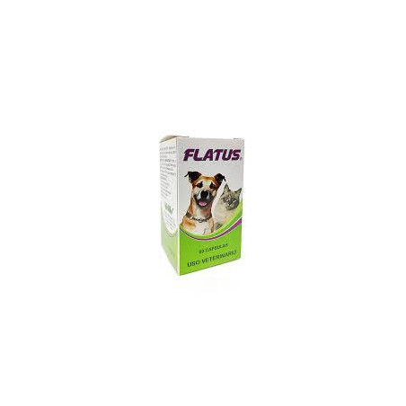 FLATUS X 60 CAPSULAS