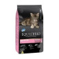 EQUILIBRIO GATOKITTENX2Kg GRATIS FELIWAY