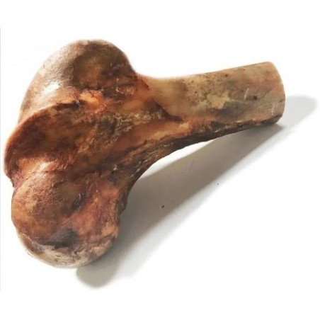 HUESO MEDIO CALAMBOMBO 210