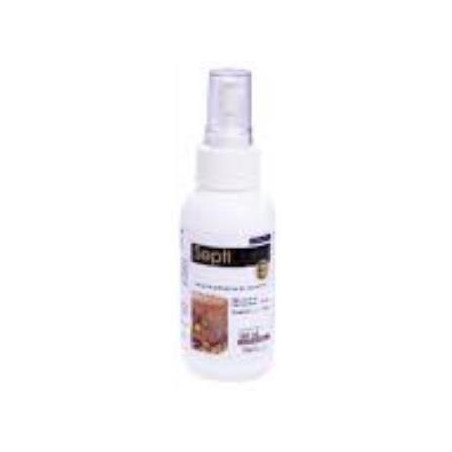 SEPTIDERM E X120 ml
