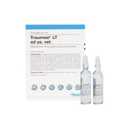 TRAUMEEL Ampolla X UNIDAD