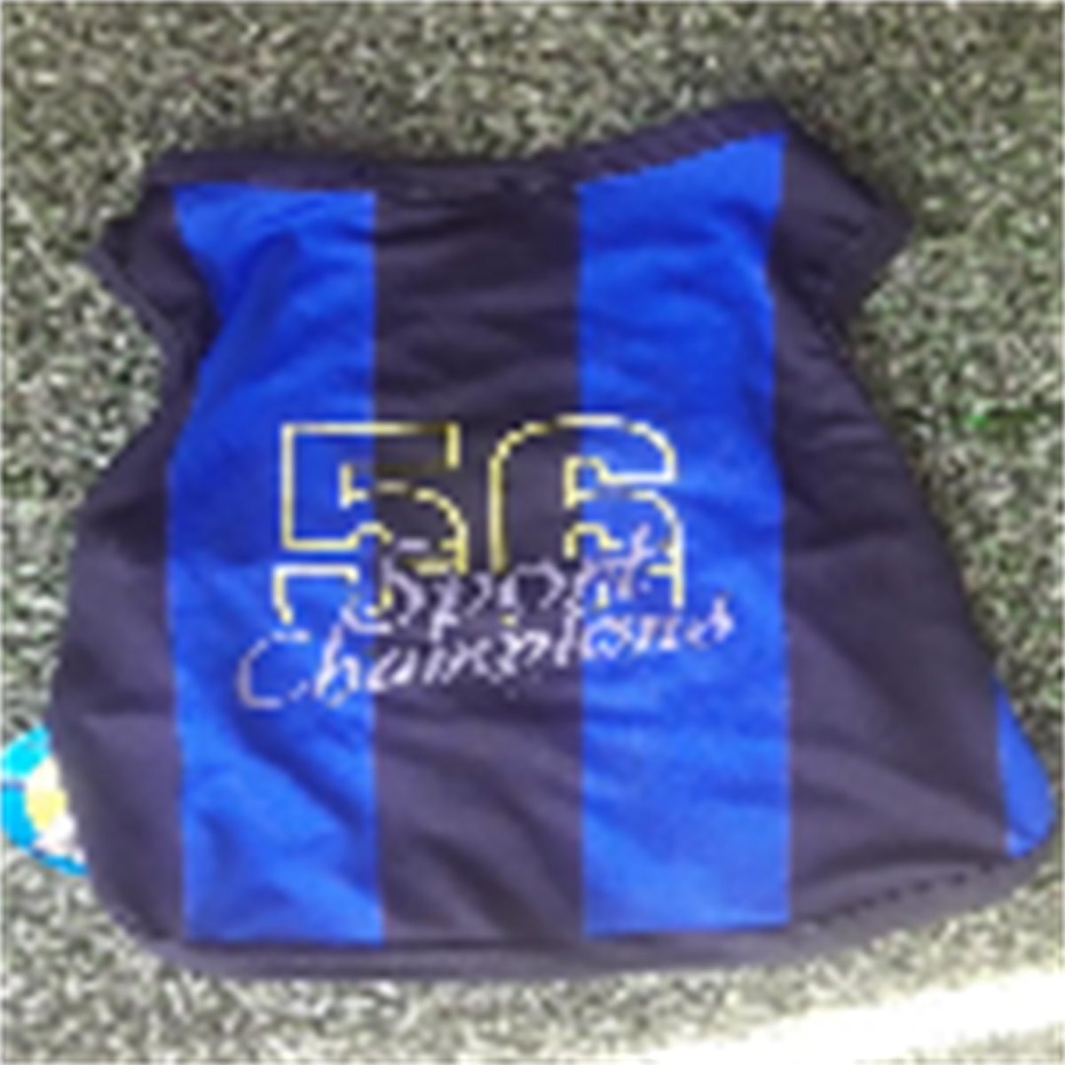 CAMISILLA SPORT XS
