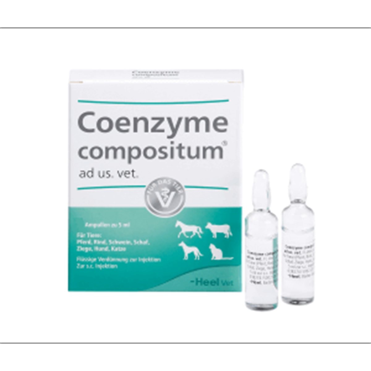 COENZYME Ampolla * Ud