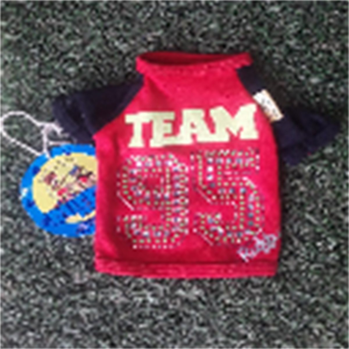CAMISETA TEAM L