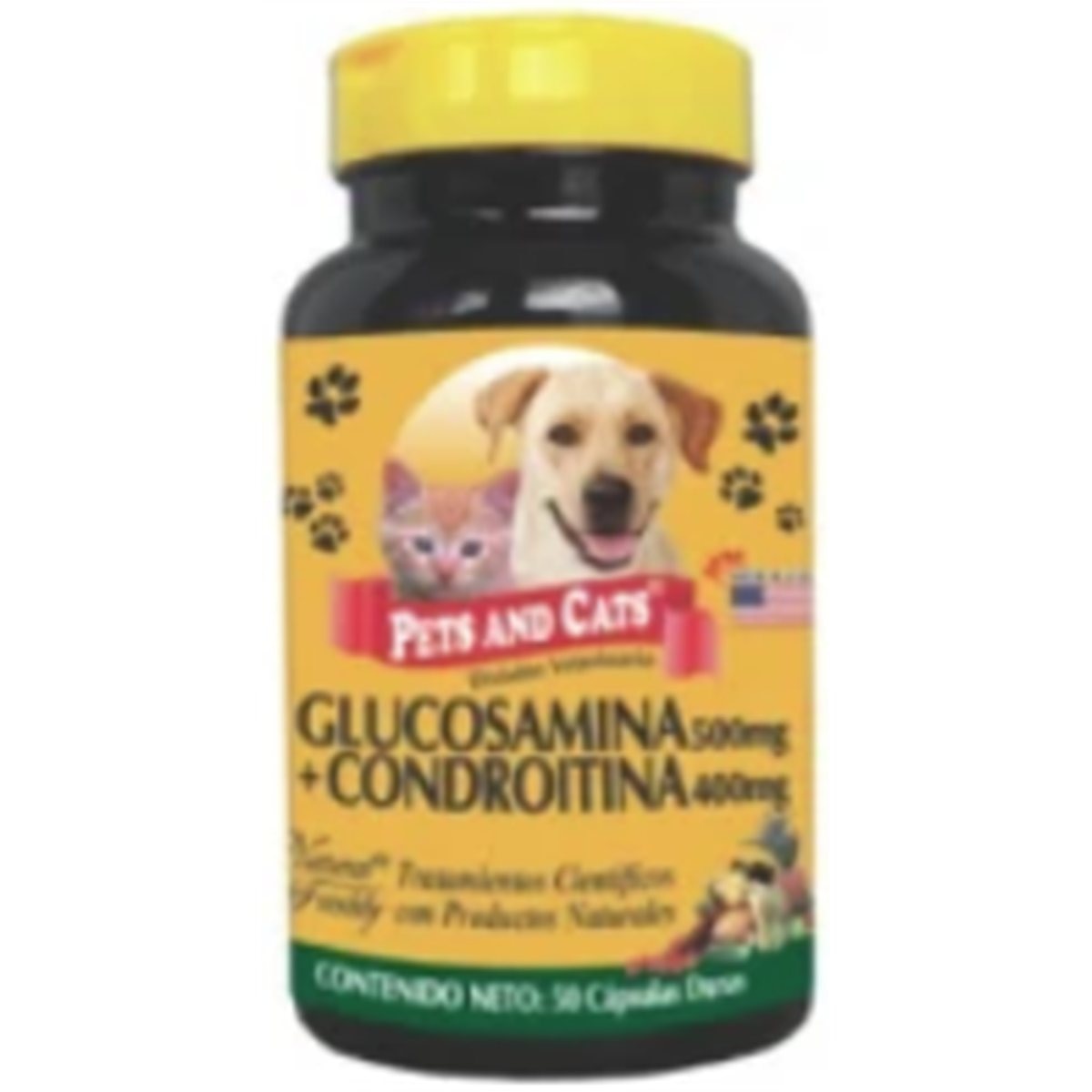 GLUCOSAMINA + CONDROITINA 50 CAPSULAS