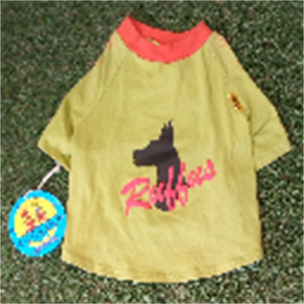 CAMISETA XM