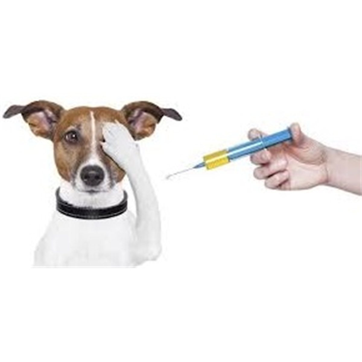 VACUNA NOVIBAC PUPPY DP * 1 Dosis