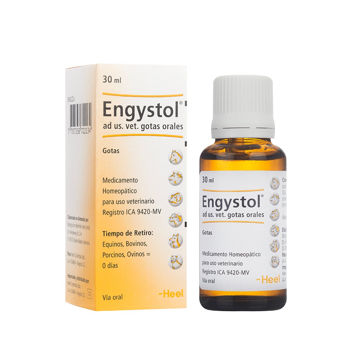 ENGYSTOL VET GOTAS * 30 ML