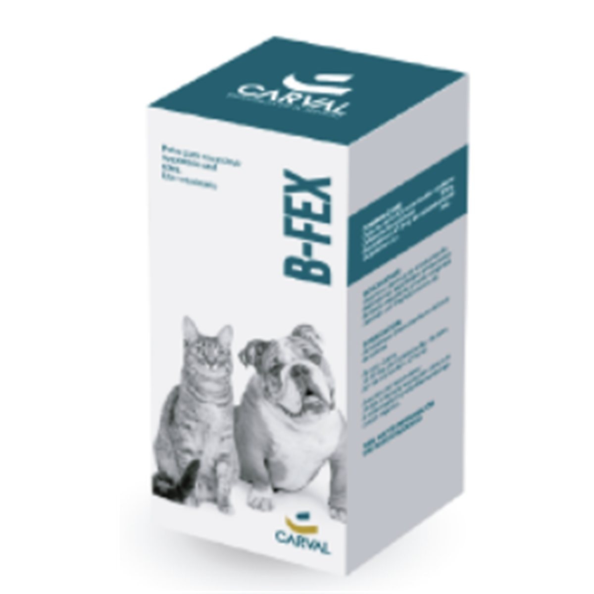 B-FEX SUSPENSION ORAL  * 60 ML