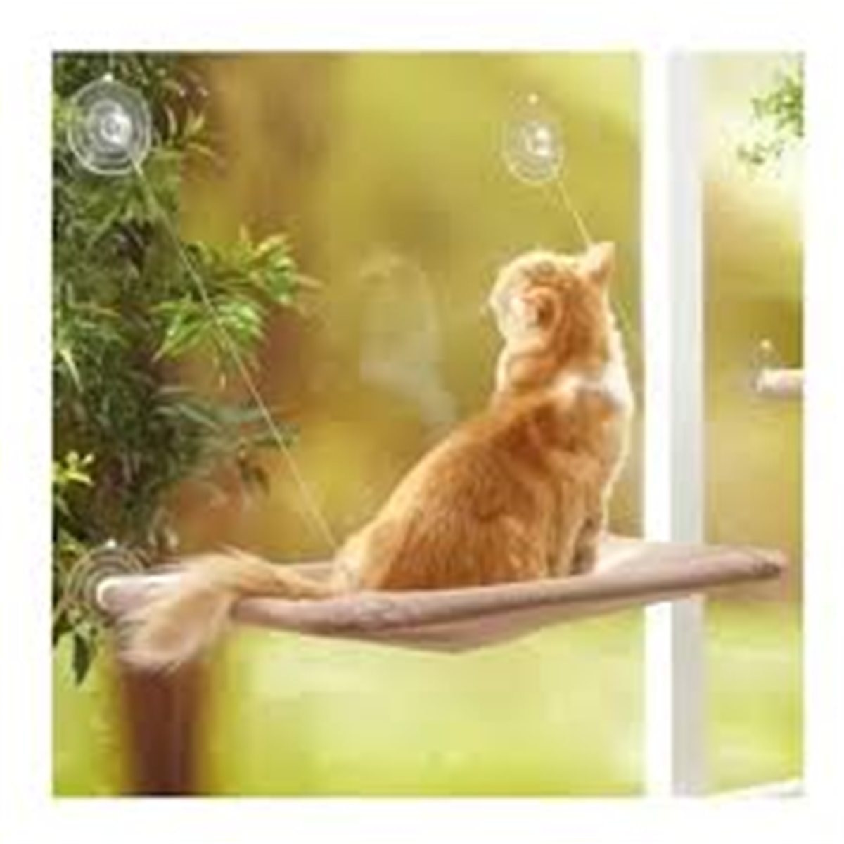 CAMA COLGANTE PARA GATO