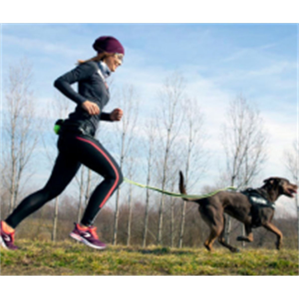 CINTURON CON TRAILLA PARA SALIR A CORRER